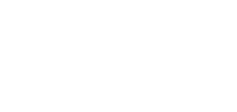 Mcflix Agency Logo